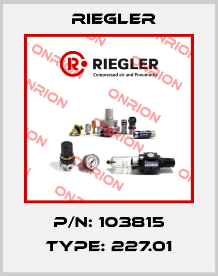 P/N: 103815 Type: 227.01 Riegler