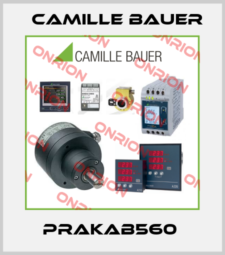 PRAKAB560  Camille Bauer