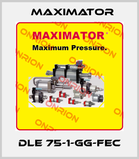 DLE 75-1-GG-FEC Maximator
