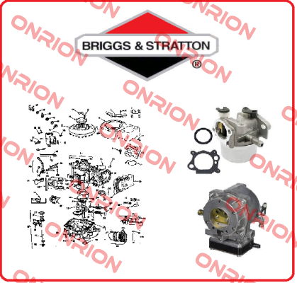 691538-BRI Briggs-Stratton