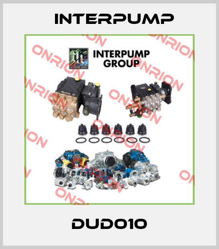 DUD010 Interpump