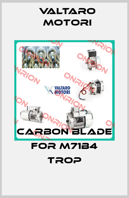 Carbon blade for M71B4 TROP Valtaro Motori