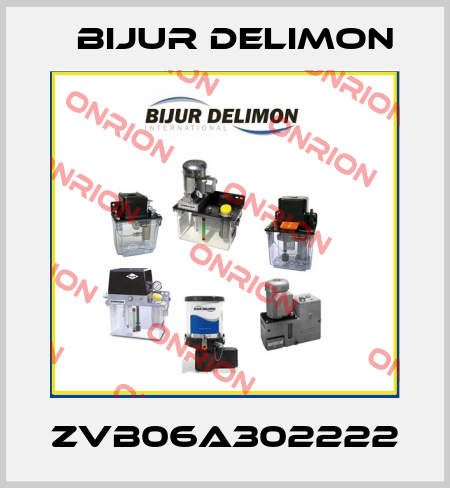 ZVB06A302222 Bijur Delimon