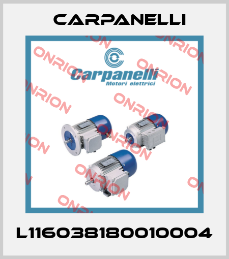 L116038180010004 Carpanelli