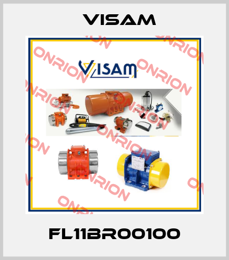 FL11BR00100 Visam