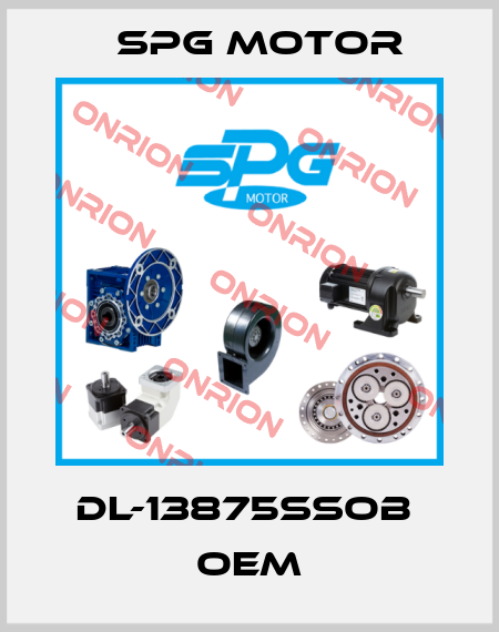 DL-13875SSOB  OEM Spg Motor
