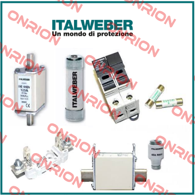 1421032  (pack x10) Italweber