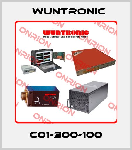 C01-300-100 Wuntronic