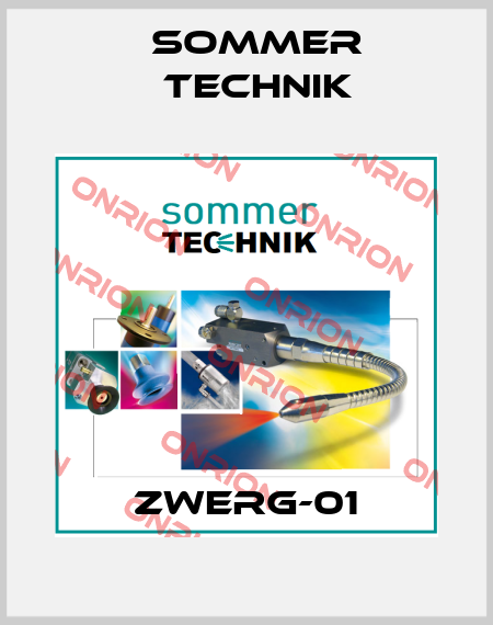 ZWERG-01 Sommer Technik