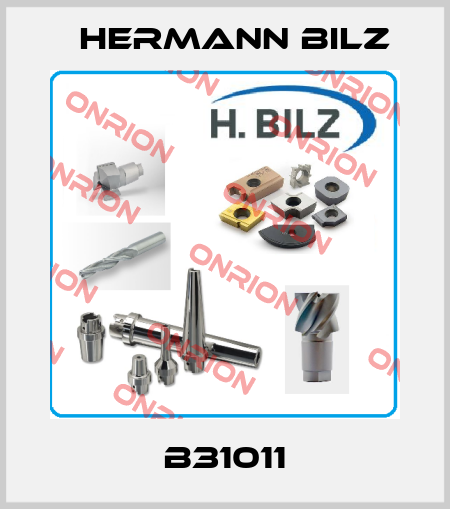 B31011 Hermann Bilz