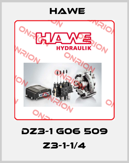 DZ3-1 G06 509 Z3-1-1/4 Hawe