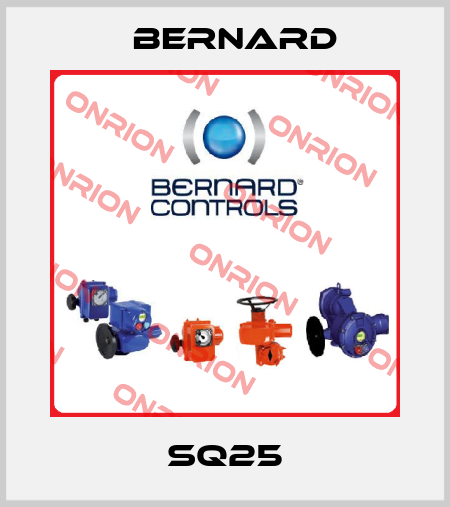 SQ25 Bernard