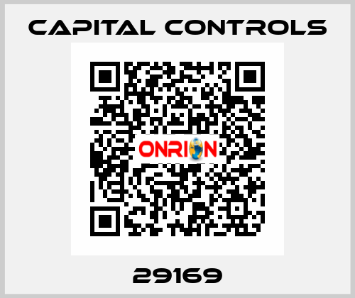 29169 Capital Controls