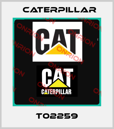 T02259 Caterpillar