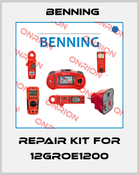 Repair kit for 12GROE1200 Benning