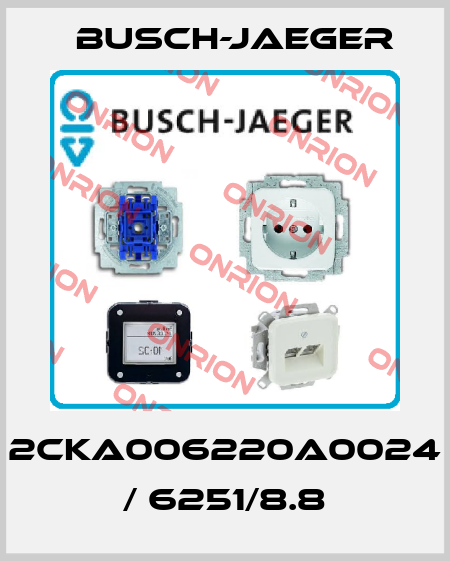 2CKA006220A0024 / 6251/8.8 Busch-Jaeger