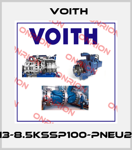 WSE13-8.5KSSP100-PNEU24/0H Voith