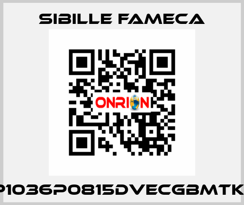VDP1036P0815DVECGBMTKRI1T Sibille Fameca