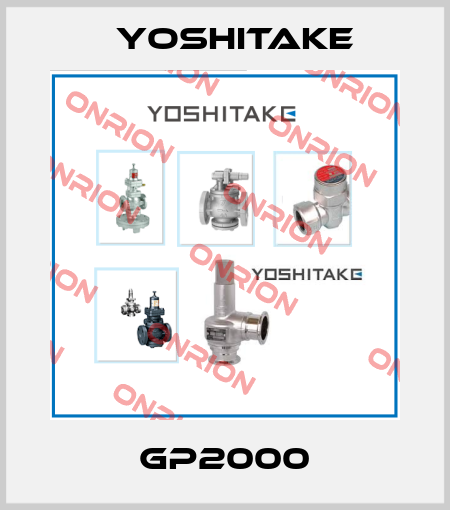 GP2000 Yoshitake