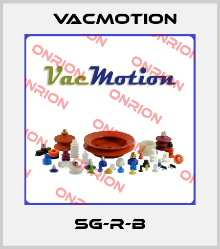 SG-R-B VacMotion
