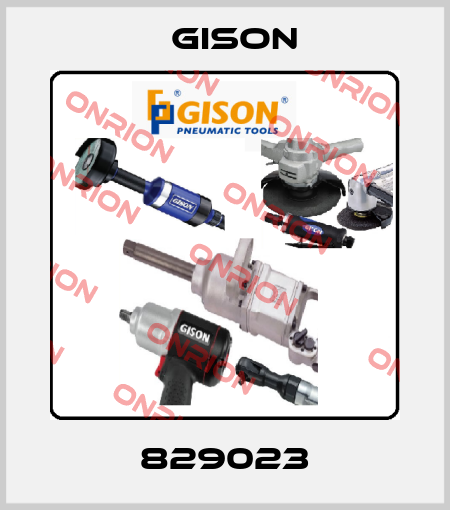 829023 Gison