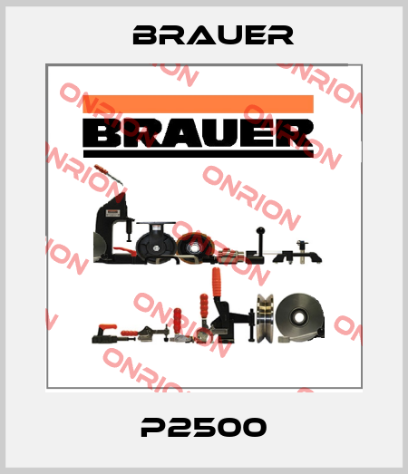 P2500 Brauer