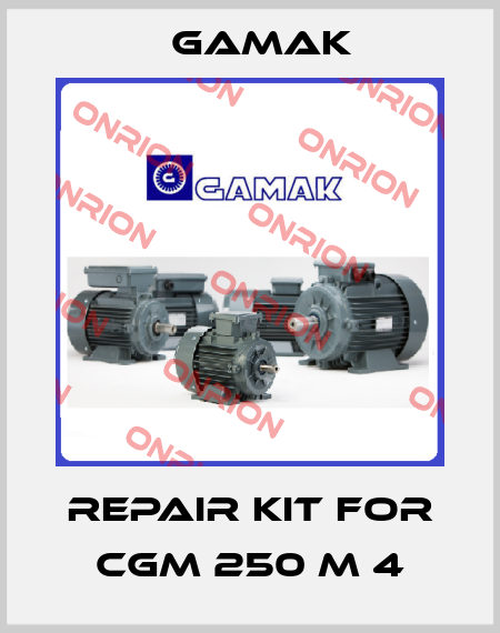 Repair kit for CGM 250 M 4 Gamak