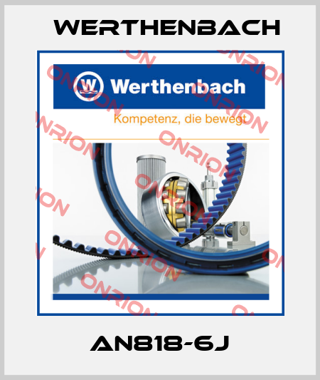 AN818-6J Werthenbach