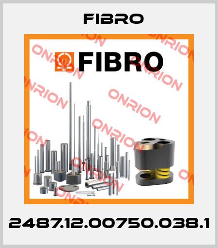 2487.12.00750.038.1 Fibro