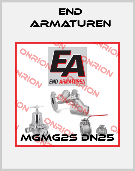 MGMG2S DN25 End Armaturen