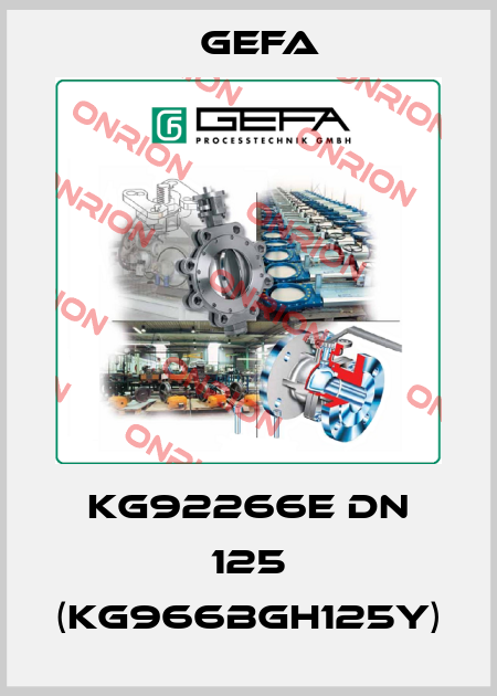 KG92266E DN 125 (KG966BGH125Y) Gefa