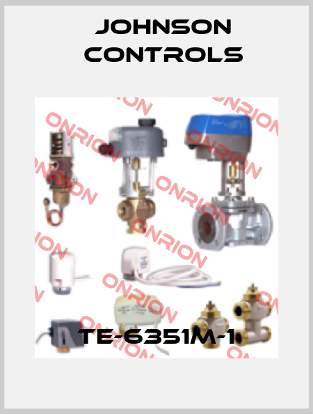 TE-6351M-1 Johnson Controls