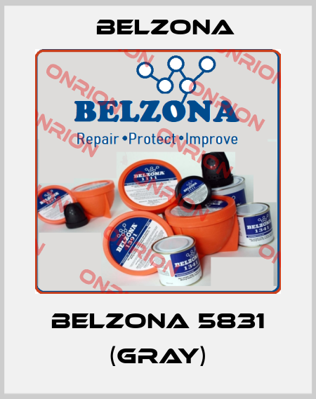 BELZONA 5831 (GRAY) Belzona
