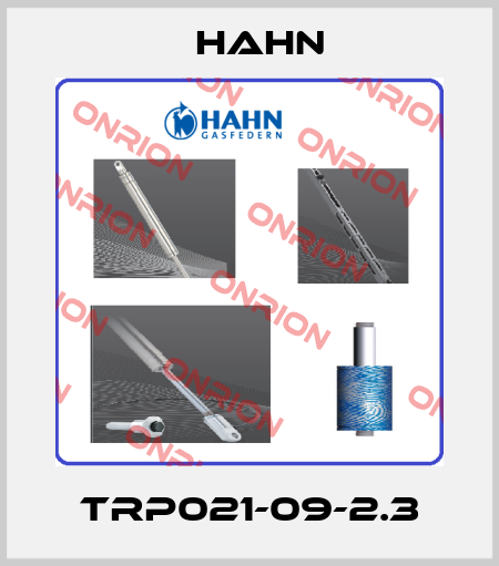 TRP021-09-2.3 Hahn