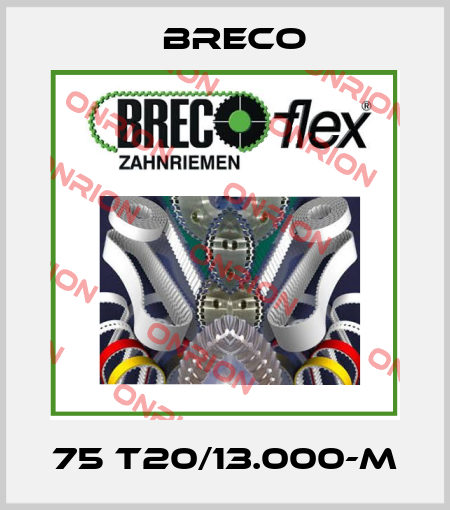 75 T20/13.000-M Breco
