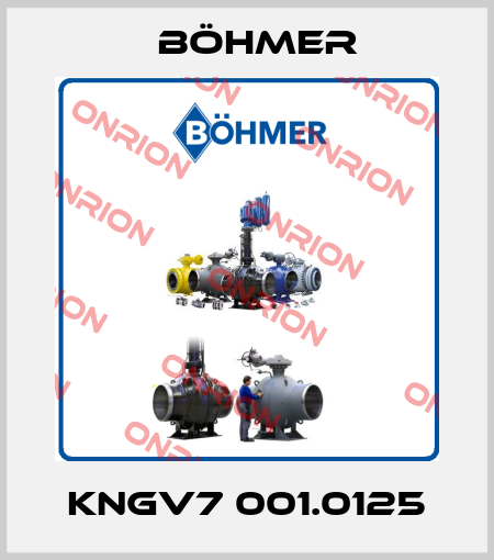 KNGV7 001.0125 Böhmer