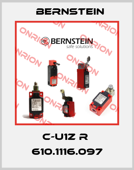 C-U1Z R  610.1116.097 Bernstein