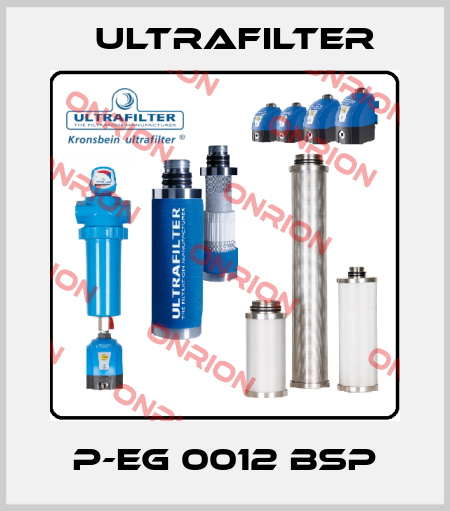P-EG 0012 BSP Ultrafilter