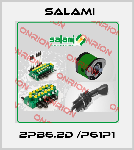 2PB6.2D /P61P1 Salami