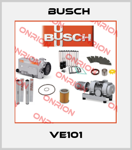 VE101 Busch