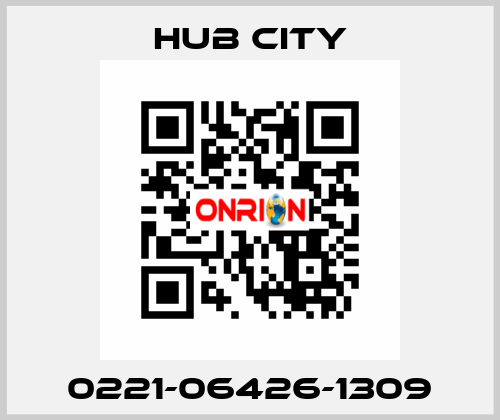 0221-06426-1309 Hub City