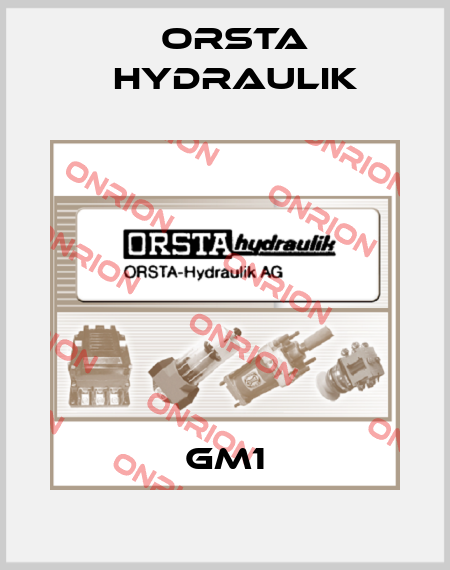 GM1 Orsta Hydraulik