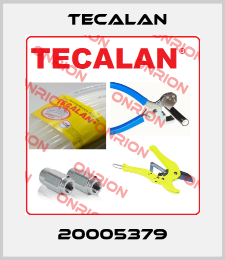 20005379 Tecalan