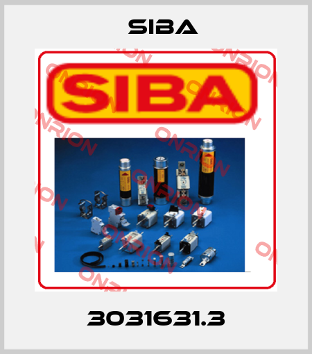 3031631.3 Siba