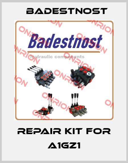 repair kit for A1GZ1 Badestnost