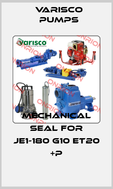 Mechanical seal for JE1-180 G10 ET20 +P Varisco pumps