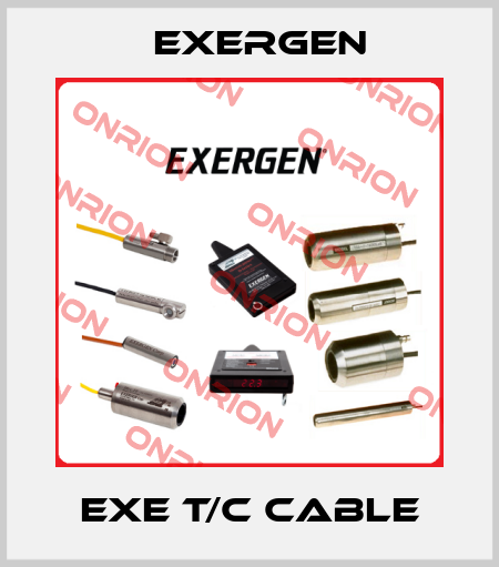 EXE T/C CABLE Exergen