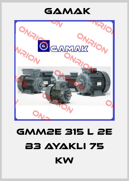 GMM2E 315 L 2e B3 ayaklı 75 KW Gamak