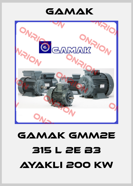 GAMAK GMM2E 315 L 2e B3 ayaklı 200 KW Gamak