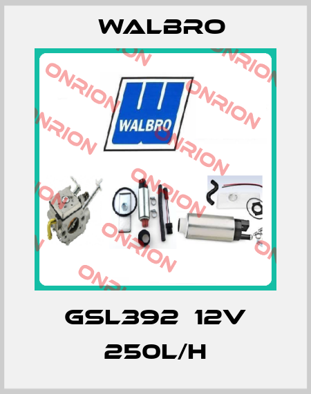 GSL392  12V 250L/h Walbro